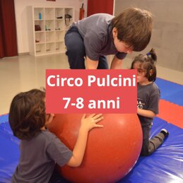 d855a382-a8a9-4e85-8b21-d5c1975653b4