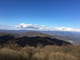 5e1bf555-e148-4da1-9af6-bd9b6d2cafd7