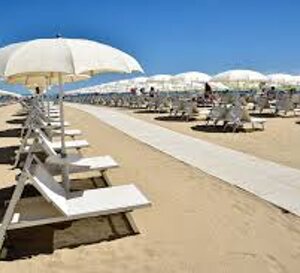 b33d41c3-cd46-44f8-b444-bc5ea43cbe5f