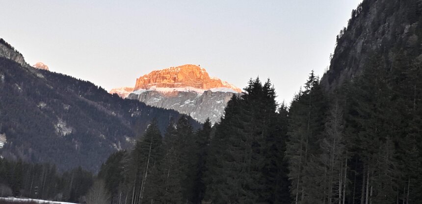 94a33511-3c7b-49c8-b3cf-b88aa8449240