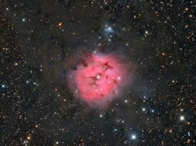 e2bd787d-fc93-406d-972d-92291e4134b5