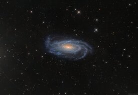 ngc 5033_mag20_elab2026_r.jpeg