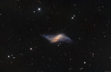 ngc 660_dic25_r.jpeg