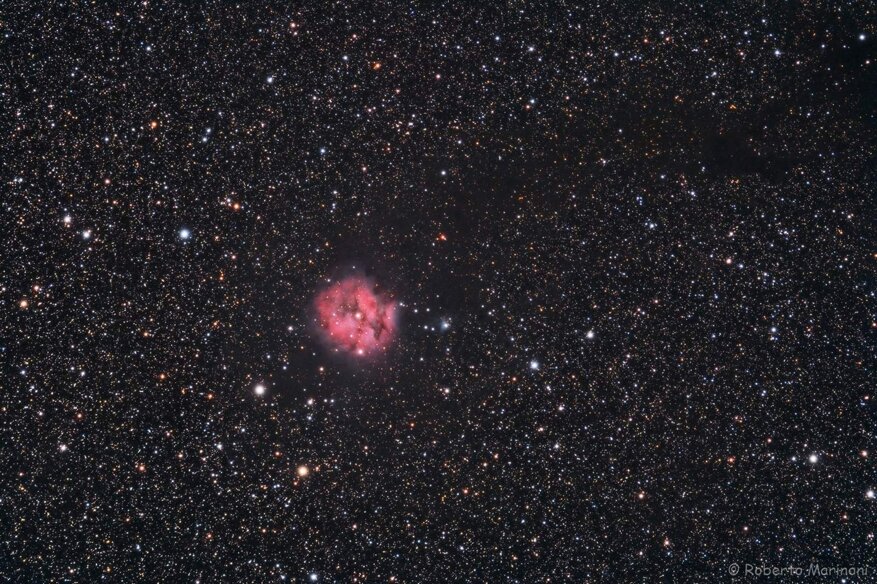 9a1537f9-e854-4a03-a194-a320af79f708