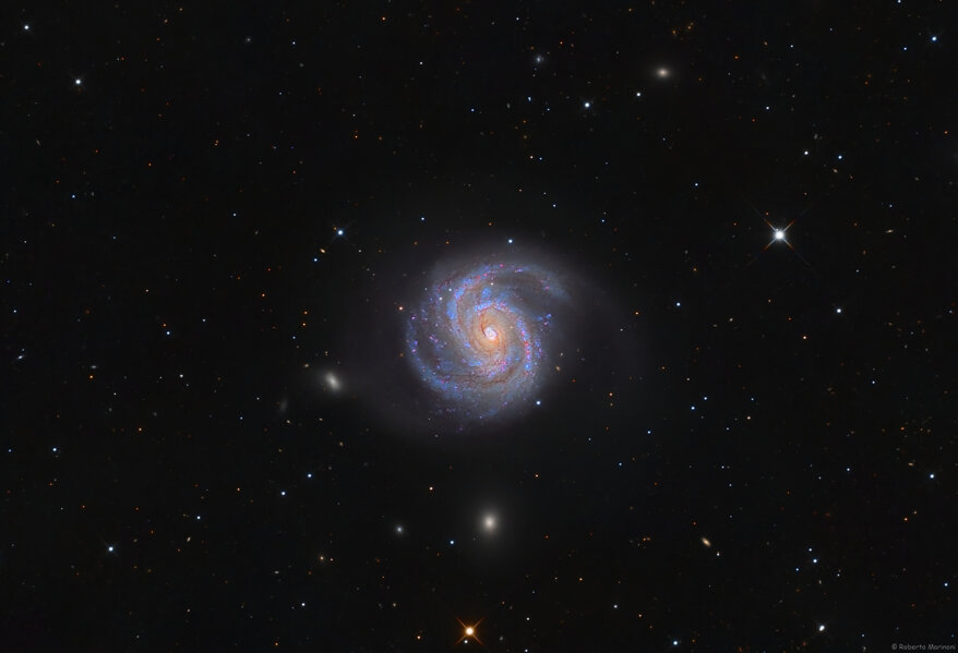 55d89bf1-f7cd-4bd5-bc07-742b12b67e10