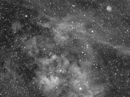 14450ca1-de49-43d8-8eed-c6ab6c222110