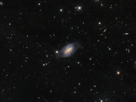 ea88d539-1b1b-4b56-868c-d6a9e08e41ef