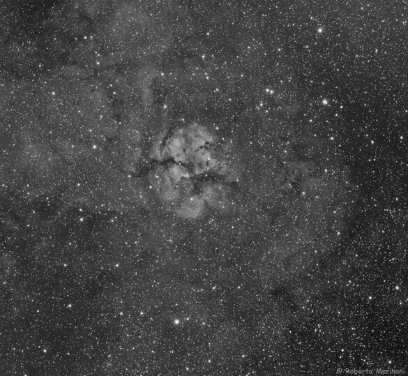 8aa2f692-3886-4faa-8c1c-1f6853ec3a7a