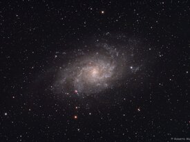 21405593-2405-4815-92ec-87b2bf401a68