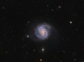 443835ef-2c54-461a-bcf3-65cebf3fe9f9