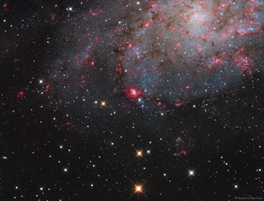 955de930-6ec4-4780-8952-ab81fe20f955