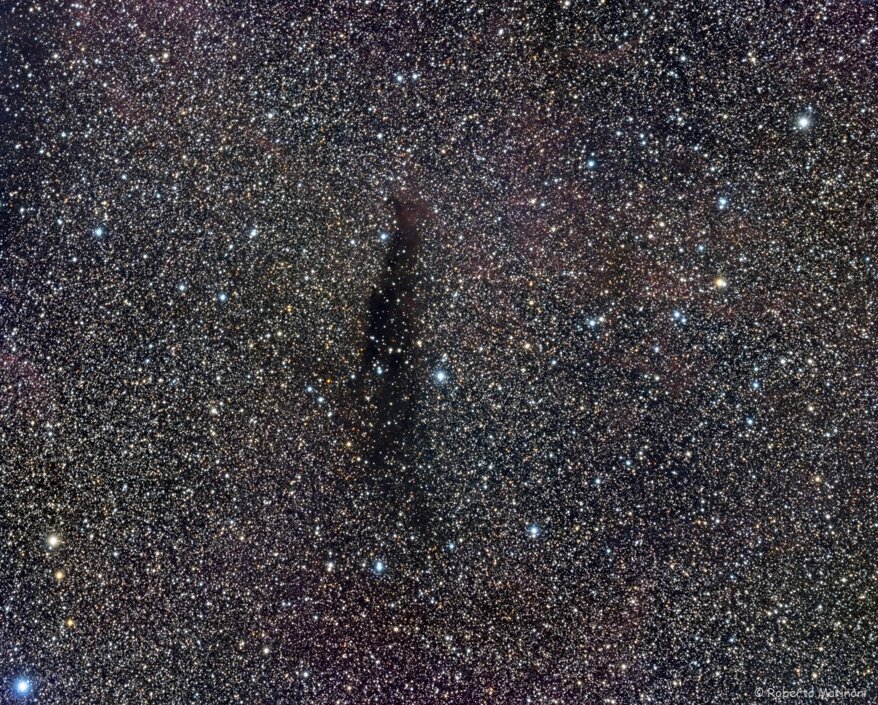 8ff48f16-d856-4c66-aa70-e6386fa1bf89