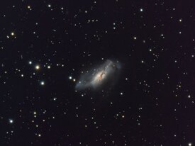 10081da3-c4fb-46a3-808c-86bf894041e6