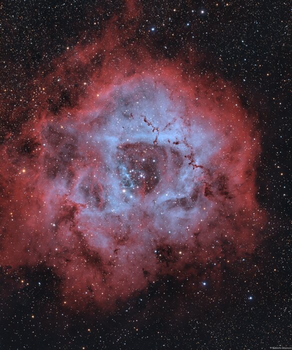 9595b774-3171-4d0b-804f-f9f25d4403a5