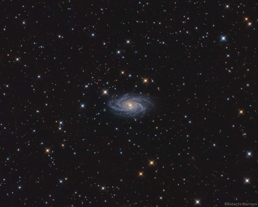 92ca7dbb-8d5f-4f29-8f60-0f9a819c764a