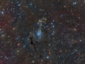 3d4aec15-d1e8-4884-956e-594076ecd696