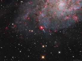 b51b74c9-4275-436b-82bb-49a818f35244