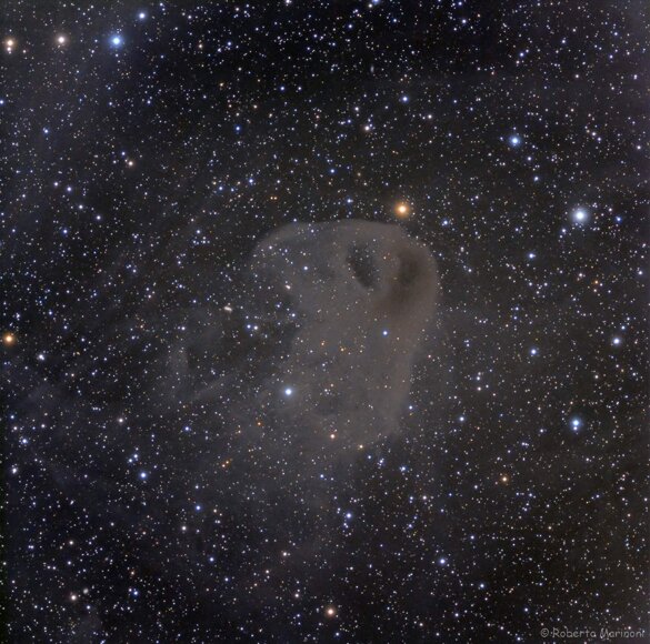 ec286fe6-55e4-44a9-b38b-07aafa7dec8b