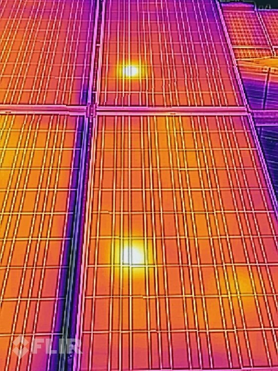 444e51ab-b425-41b7-a687-2431c7604ac4 444e51ab-b425-41b7-a687-2431c7604ac4