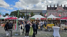 ebeeafa3-d4a8-4486-9848-1e747c2dbd9c