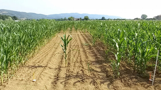 366efd1f-9615-416e-bd14-020240803f13