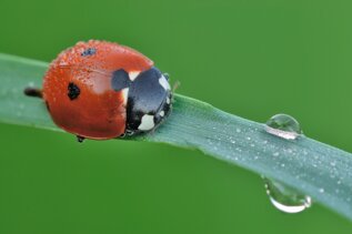 8b6006c4-baa4-4738-88e3-f022a95c9d75