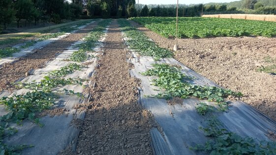 d069f50a-e634-4192-be3a-30e620a3a6c7