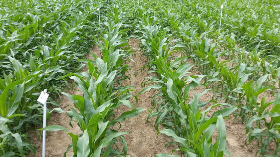 cd25ad38-5d5c-4616-aa4a-fe87825c929c