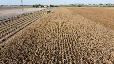 c3dadf6e-e893-430e-a958-bf09885faa8c