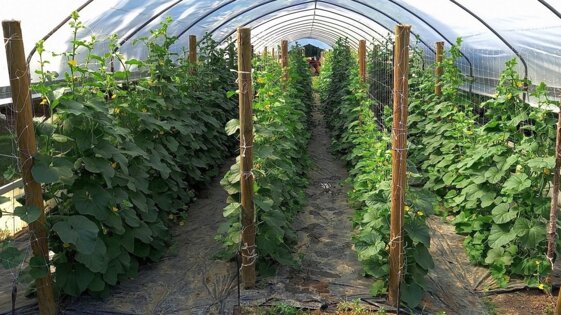 2f6e6f7b-7d44-4069-ac98-fc4a8b225c64