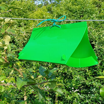 3655c899-5dff-4a03-a010-9d4617adceba