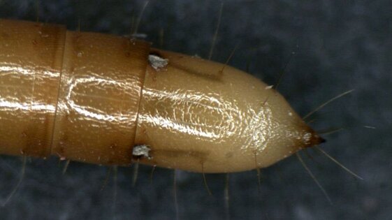 9ccf2e69-8c7a-4de6-baa8-963ebeb2a8ad