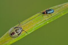 d85c6a47-082e-4abf-a197-5f530000da6c