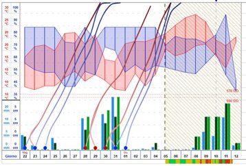 d283ab6d-3363-4bd3-8e39-c30f549bf763