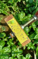 cartine qualità.jpeg