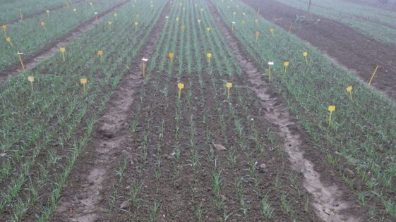 881457b5-030d-41be-94d0-50089200b821