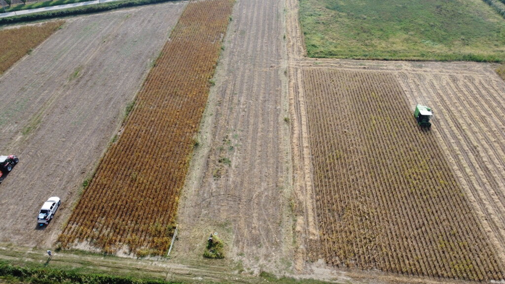 052d83c6-b9cb-442c-8e37-84f8a4c8a0b2