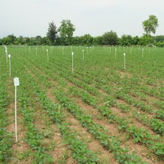 63436c7c-56c7-466b-9a0f-55ceb08fdc93