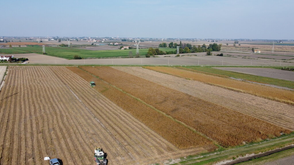 6f12f348-d80c-4475-a9d3-3d1aa8c6be02