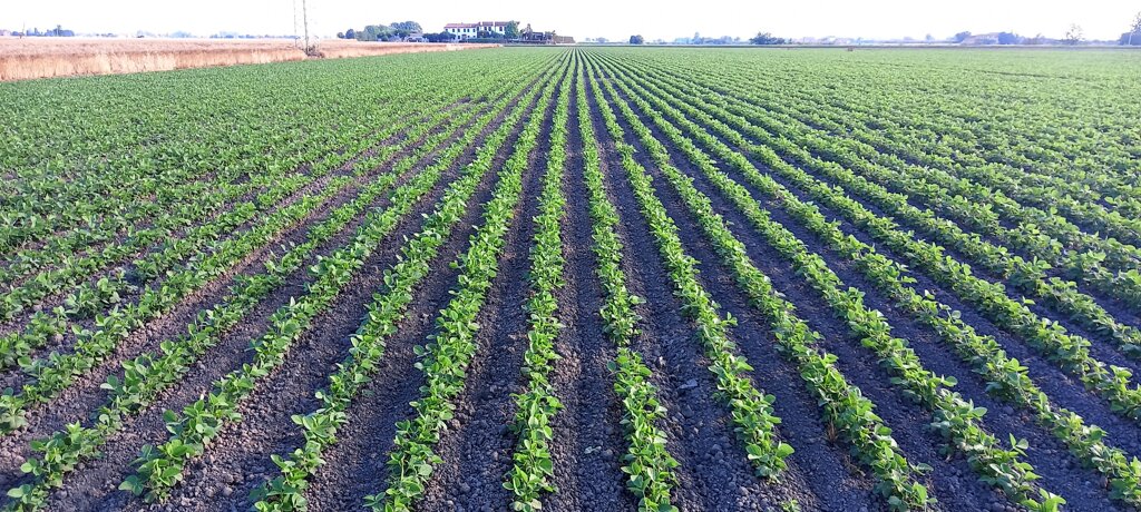 c37a7581-7e6b-497b-8a37-c2ed4841b5ec