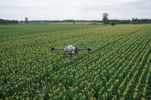 e9f1ab13-cc84-4a26-9685-5f5f3ac0a925