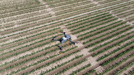 3549c9dc-a821-4acb-828c-42d5ed21516f