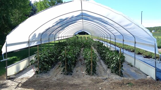 5c612e95-1737-4134-afaf-bfe8c40fd147