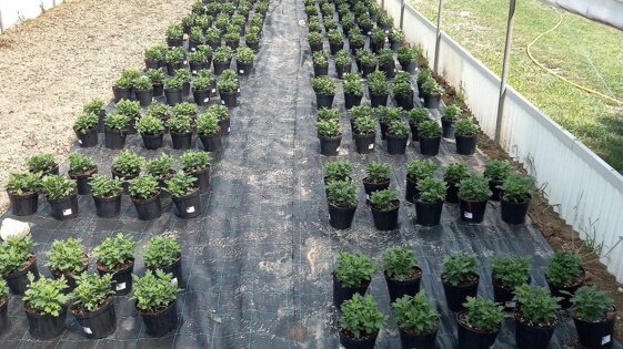 13d2c6bf-1ebd-449e-b3d6-9ffe9c30236f