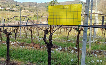 945ee572-1fd6-467e-9ccc-47123e1fd9ad