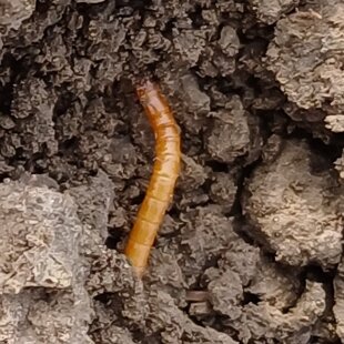 6b3bc67e-95cd-42f8-911e-836c64435275