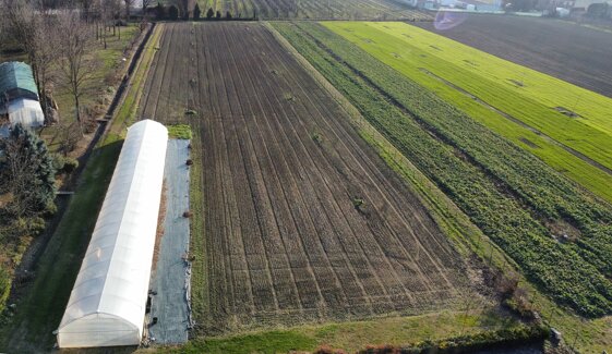 0ec8ba46-3c35-41f6-9e0b-a3e310d2ecc5