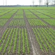 e211f59e-b4f3-4003-8e08-2e7de65357fb