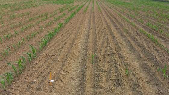 bffe13b1-0665-4b8a-8b7a-ff6e6edd8b89