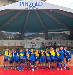 Pulcini 2013